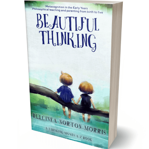 Beautiful Thinking - a book about metacognition